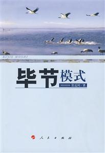 畢節模式 畢節模式