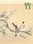 竹子中國(guó)名花工筆線描圖譜 竹子中國(guó)名花工筆線描圖譜