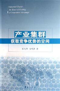 產業(yè)集群(獲取競爭優(yōu)勢的空間) 產業(yè)集群(獲取競爭優(yōu)勢的空間)