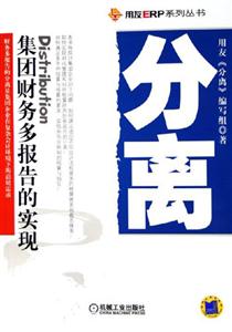 分離集團財務多報告的實現(xiàn) 分離集團財務多報告的實現(xiàn)