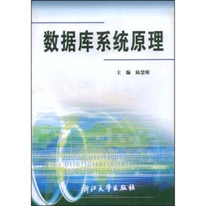 數(shù)據(jù)庫系統(tǒng)原理 數(shù)據(jù)庫系統(tǒng)原理