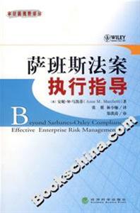 薩班斯法案執(zhí)行指導(dǎo) 薩班斯法案執(zhí)行指導(dǎo)