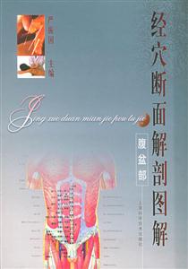 經(jīng)穴斷面解剖圖解:腹盆部 經(jīng)穴斷面解剖圖解:腹盆部