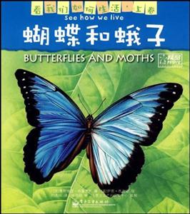 蝴蝶和蛾子 蝴蝶和蛾子