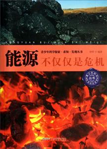 能源不僅僅是危機(jī) 能源不僅僅是危機(jī)