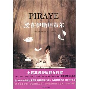 愛在伊斯坦布爾 愛在伊斯坦布爾