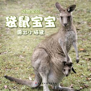 袋鼠寶寶露出小腦袋動物寶貝送自己動手涂涂看 袋鼠寶寶露出小腦袋動物寶貝送自己動手涂涂看
