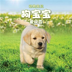 狗寶寶愛玩耍動物寶貝送自己動手涂涂看 狗寶寶愛玩耍動物寶貝送自己動手涂涂看