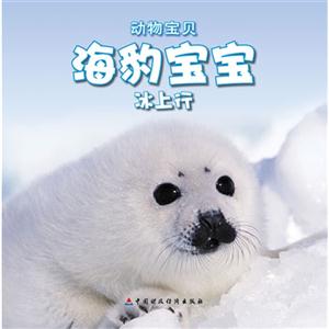 海豹寶寶冰上行動物寶貝送自己動手涂涂看 海豹寶寶冰上行動物寶貝送自己動手涂涂看